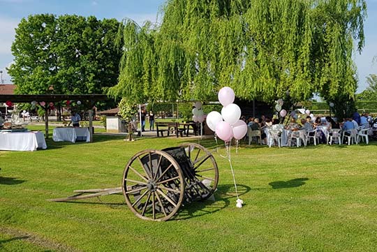 festa nel parco esterno